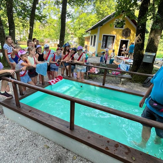 Bild enthält, People, Person, Pool, Swimming Pool, Adult, Male, Man, Grass, Summer, Outdoors