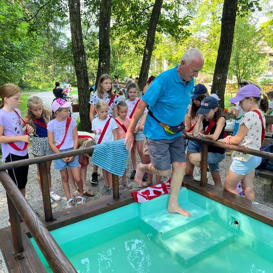 Bild enthält, Summer, Grass, Park, Shorts, Person, Portrait, Tree, People, Vegetation, Man