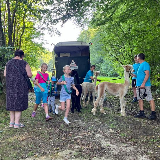 Bild enthält, Vegetation, Outdoors, Woodland, Shelter, People, Person, Adult, Female, Woman, Teen