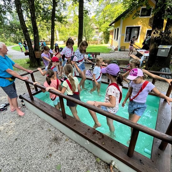 Bild enthält, Summer, Grass, Park, Person, Portrait, People, Shelter, Shorts, Tree, Man