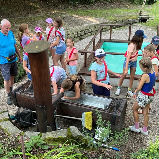 Bild enthält, Shorts, Grass, Park, Summer, Zoo, Person, Portrait, Adult, Male, Man