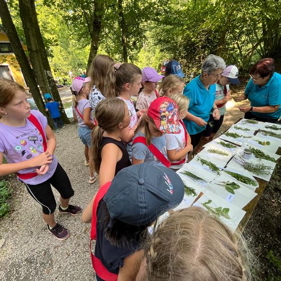 Bild enthält, Grass, Park, Vegetation, People, Person, Tree, Grove, Woodland, Summer, Child