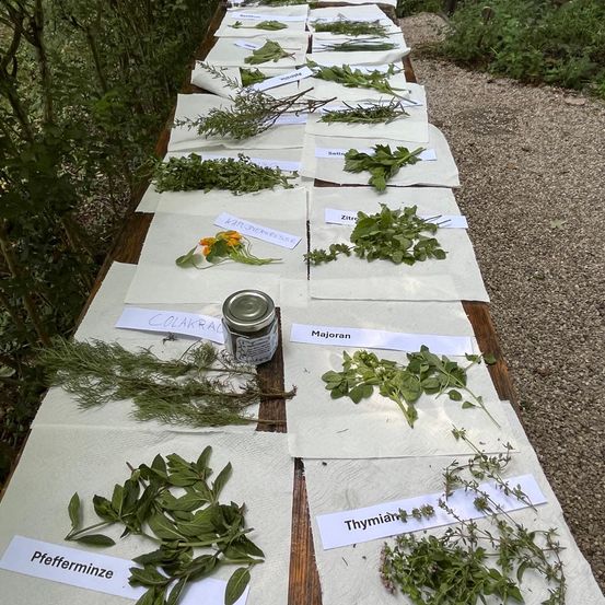 Bild enthält, Herbal, Herbs, Plant, Furniture, Table, Tabletop, Vegetation, Text