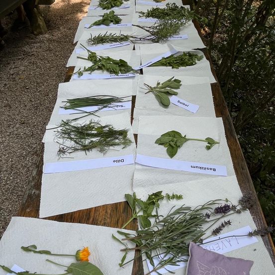 Bild enthält, Herbal, Herbs, Plant, Furniture, Table, Tabletop, Text, Document, Receipt, Leaf