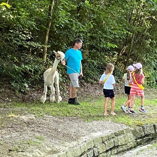 Bild enthält, Vegetation, Person, Shorts, Walking, Tree, Woodland, Shoe, Grass, Path, Canine