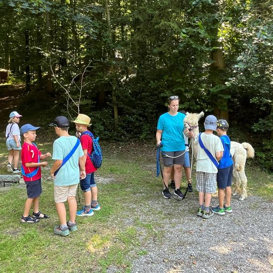 Bild enthält, Bag, Backpack, Backpacking, Person, Boy, Child, Male, Dog, Shorts, Hiking