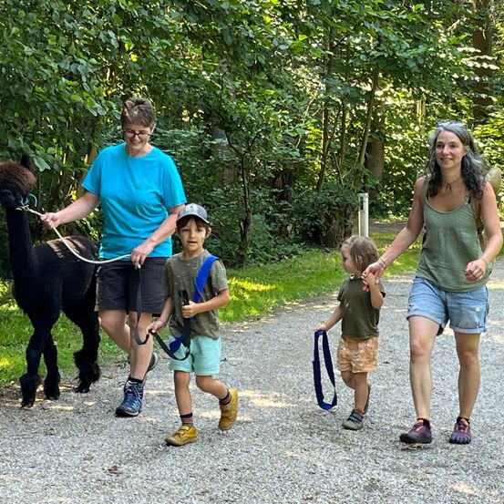 Bild enthält, Vegetation, Park, Woodland, Shorts, Person, Shoe, Boy, Child, Male, Walking
