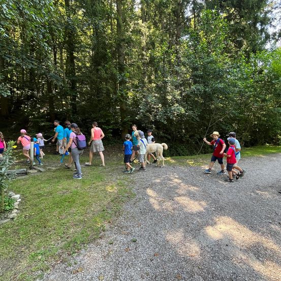 Bild enthält, Person, Walking, Vegetation, Park, Tree, Woodland, Grove, Hiking, Path, People