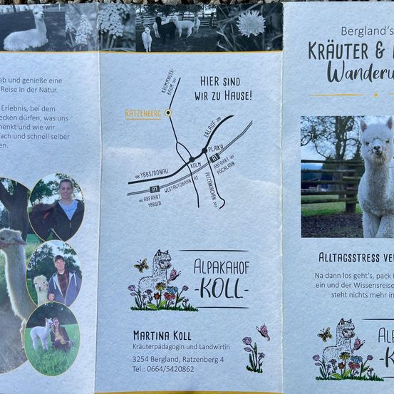 Bild enthält, Advertisement, Poster, Person, Adult, Female, Woman, Mammal, Sheep, Face, Dog