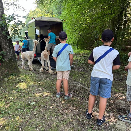 Bild enthält, Shorts, Outdoors, Shelter, Boy, Child, Male, Person, Vegetation, Bag, Backpack