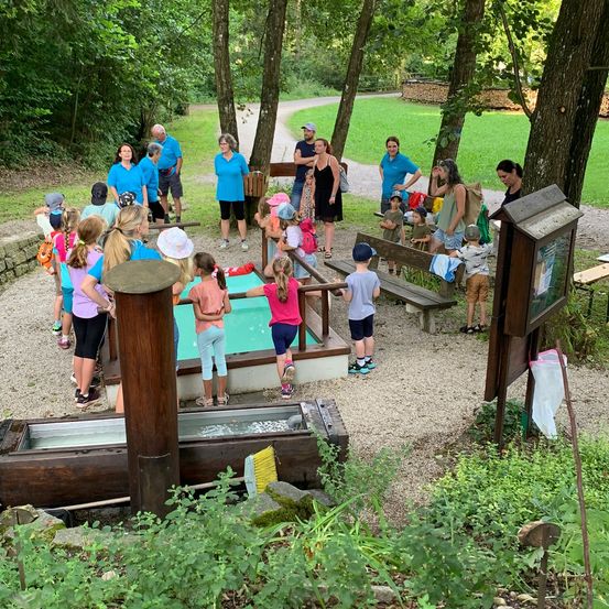 Bild enthält, Grass, Outdoors, Park, Vegetation, Grove, Tree, Woodland, Person, Portrait, People