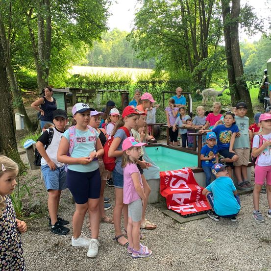 Bild enthält, Summer, Shorts, Tree, People, Person, Grass, Park, Portrait, Vegetation, Child
