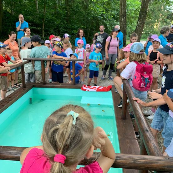 Bild enthält, Summer, Vegetation, Person, Portrait, Tree, Park, Child, Female, Girl, Zoo