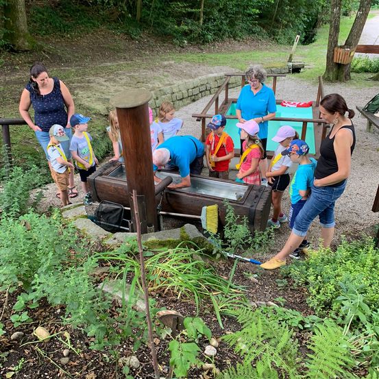 Bild enthält, Vegetation, Tree, Backyard, Yard, Woodland, Grove, Grass, Park, Portrait, Herbal