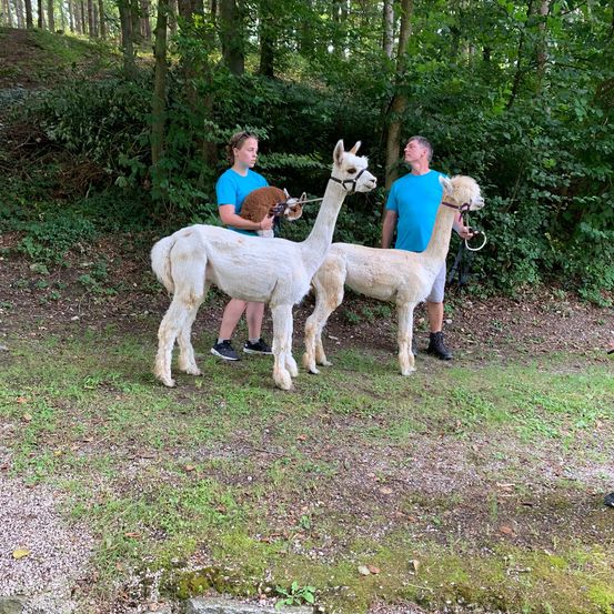 Bild enthält, Vegetation, Grove, Land, Tree, Woodland, Portrait, Grass, Park, Jungle, Soil