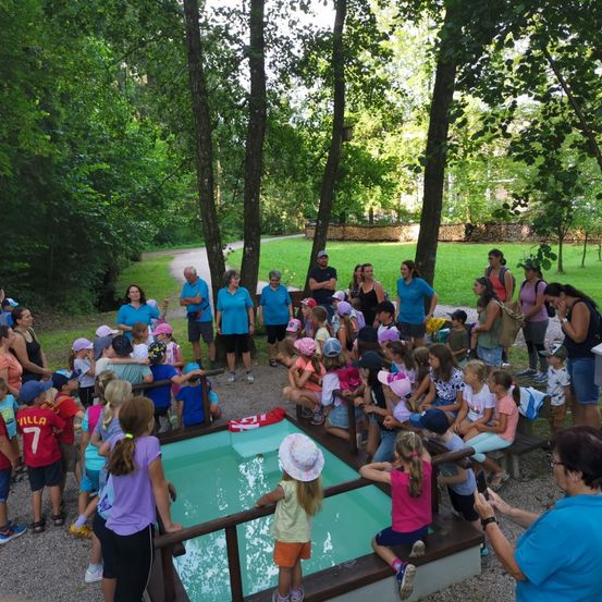 Bild enthält, Grass, Park, Grove, Tree, Vegetation, Woodland, Summer, Backyard, Portrait, People