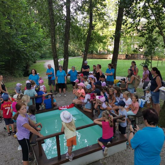 Bild enthält, Grass, Outdoors, Park, Tree, People, Person, Vegetation, Grove, Woodland, Child