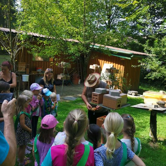 Bild enthält, Backyard, Yard, Grass, Potted Plant, Summer, Vegetation, Portrait, Shelter, Tree, Park