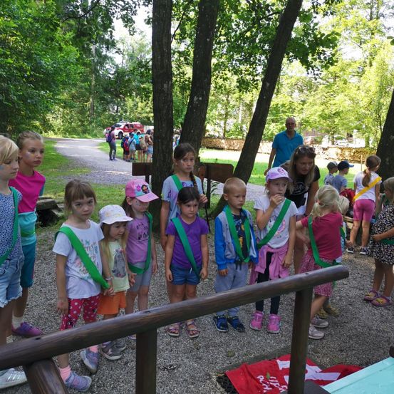 Bild enthält, Grass, Grove, Land, Park, Tree, Vegetation, Woodland, Photography, Portrait, Summer