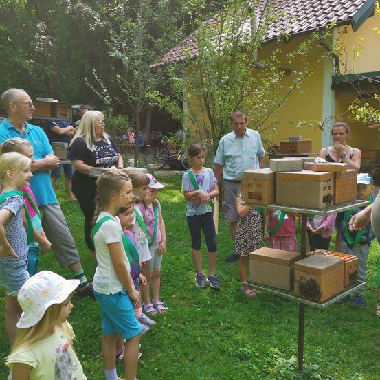 Bild enthält, Grass, Backyard, Yard, People, Person, Portrait, Child, Female, Girl, Dress