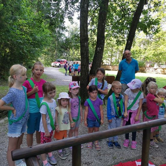 Bild enthält, Grass, Park, Grove, Land, Tree, Vegetation, Woodland, Photography, Portrait, Path