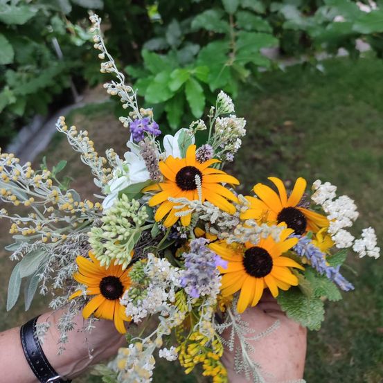 Bild enthält, Flower, Petal, Herbal, Daisy, Flower Arrangement, Flower Bouquet, Potted Plant, Anemone, Grass, Leaf