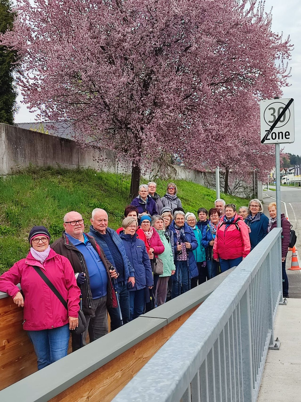 Eine Gruppe älterer Menschen läuft auf einem Bürgersteig in der Nähe einer Straße mit einem 30 km/h-Schild. Sie tragen Jacken und einige haben Brillen. Es gibt Bäume mit rosa Blüten an der Seite.