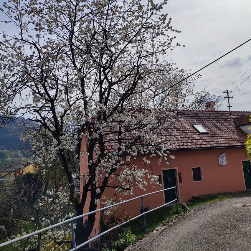 Ein rosafarbenes Haus mit einem Ziegeldach und einem blühenden Baum steht neben einer Kiesauffahrt unter einem teilweise bewölkten Himmel.