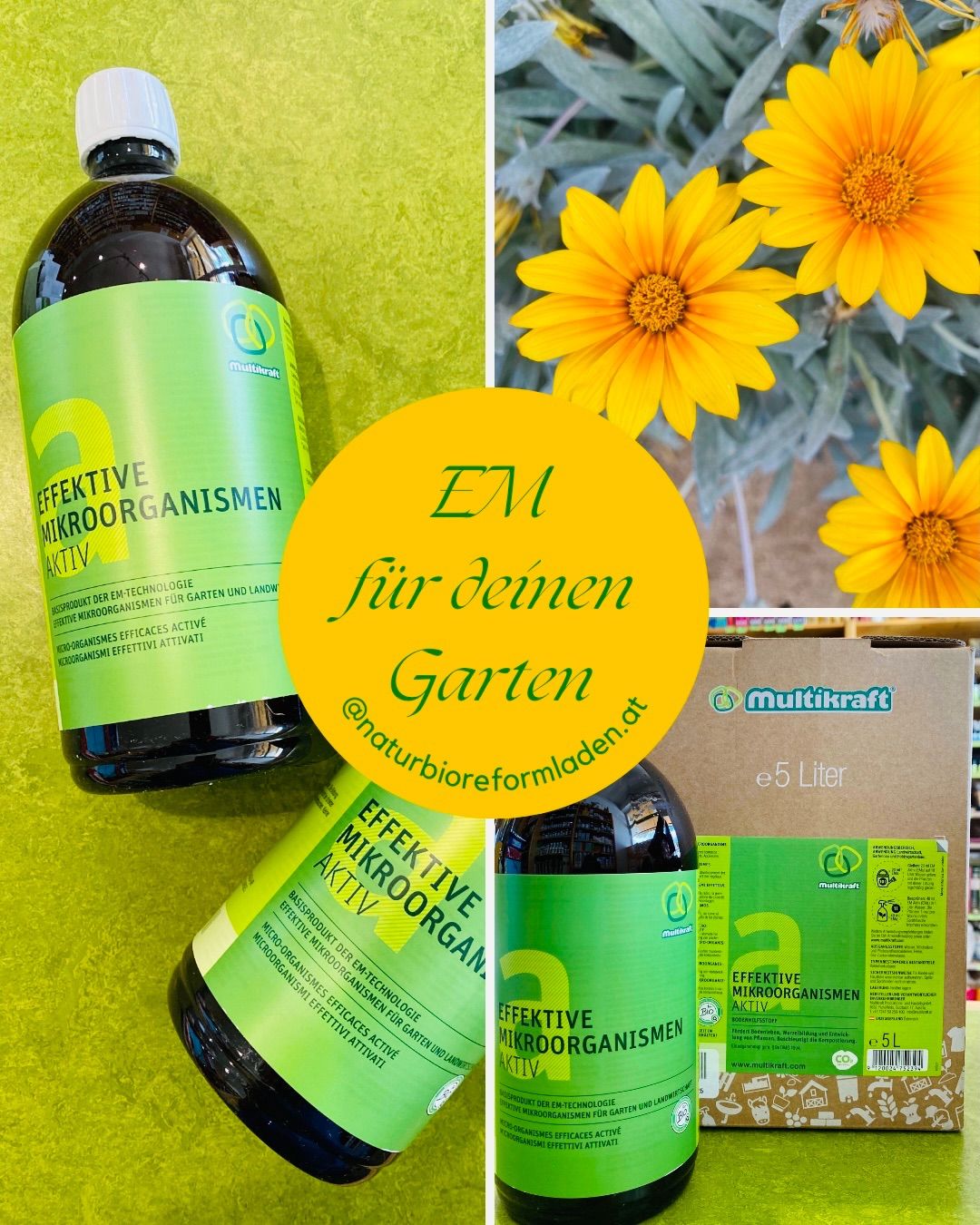 Bild enthält, Herbal, Herbs, Plant, Flower, Food, Seasoning, Syrup, Advertisement, Bottle