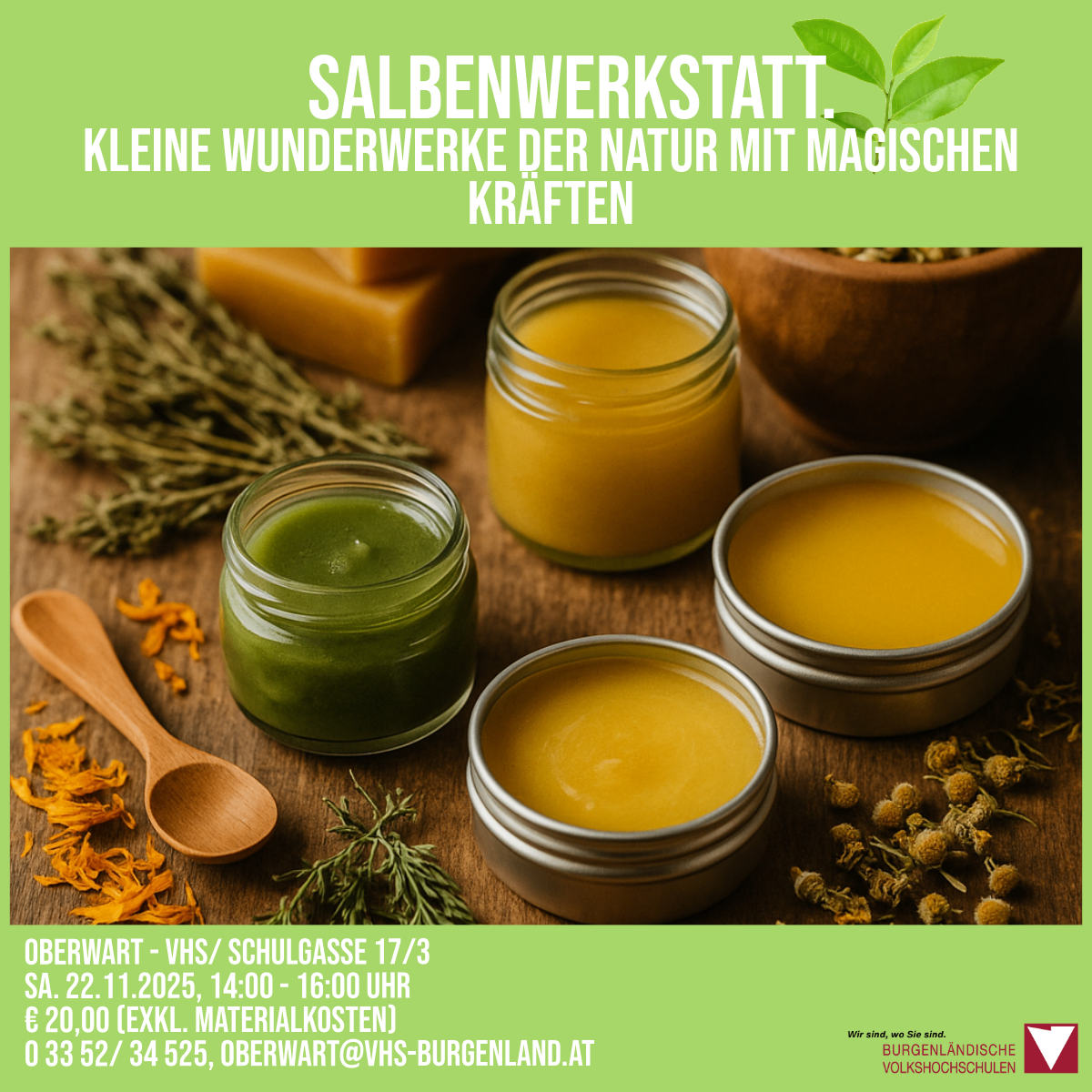 An advertisement for a salve workshop. Various jars of salve are shown with herbs and flowers around them. The workshop will be held on November 22, 2025, from 2:00 PM to 4:00 PM.