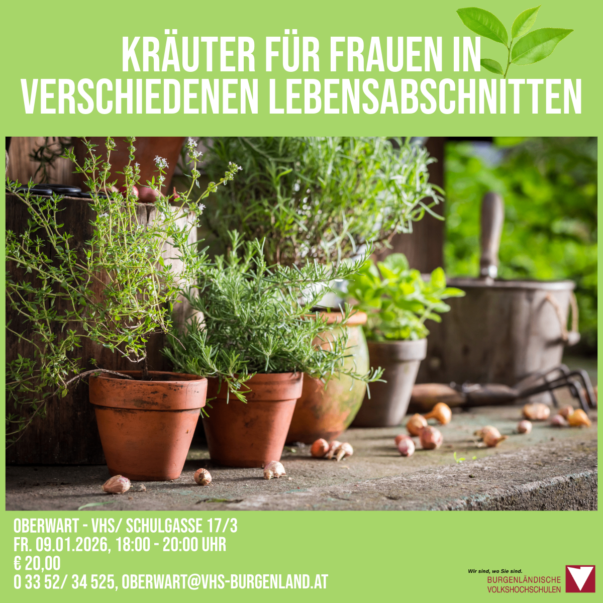 Plakat für eine Veranstaltung mit Kräutern für Frauen in verschiedenen Lebensphasen. Das Plakat zeigt mehrere Topfpflanzen auf einem Tisch mit Knoblauchzwiebeln und einem Gießkanister im Hintergrund. Datum und Uhrzeit der Veranstaltung sind unten angezeigt.