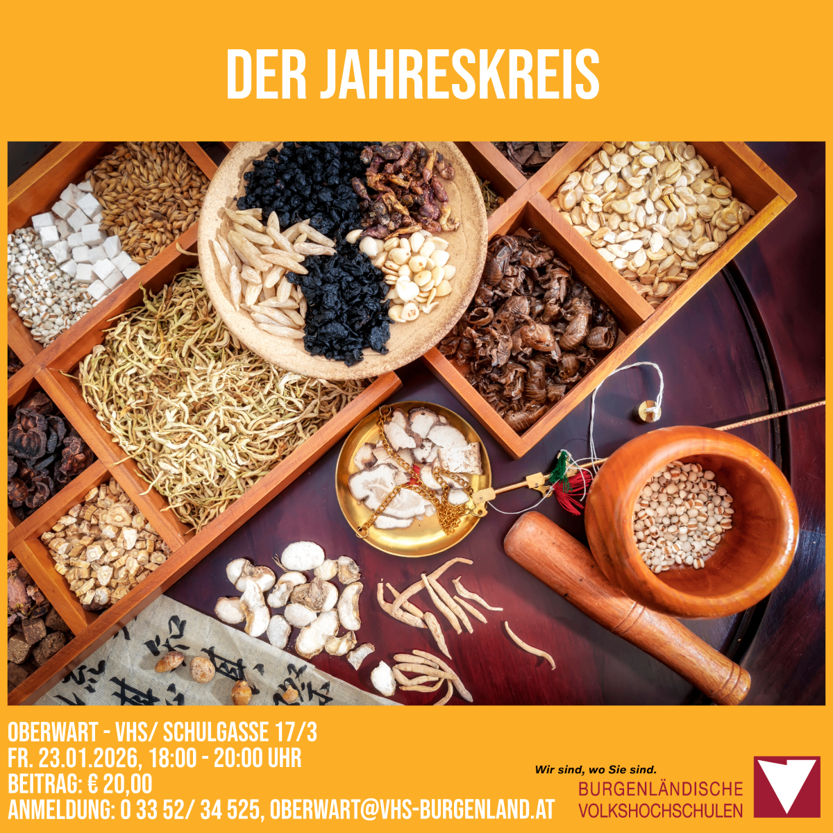 Plakat zur Jahreskreis-Veranstaltung mit verschiedenen Kräutern und Heilpflanzen in Holzschalen. Der Termin ist am Freitag, den 23. Oktober 2026, von 18:00 bis 20:00 Uhr in VHS/Schulgasse 17/3. Die Teilnahme kostet 20 Euro, und die Anmeldung erfolgt per E-Mail.