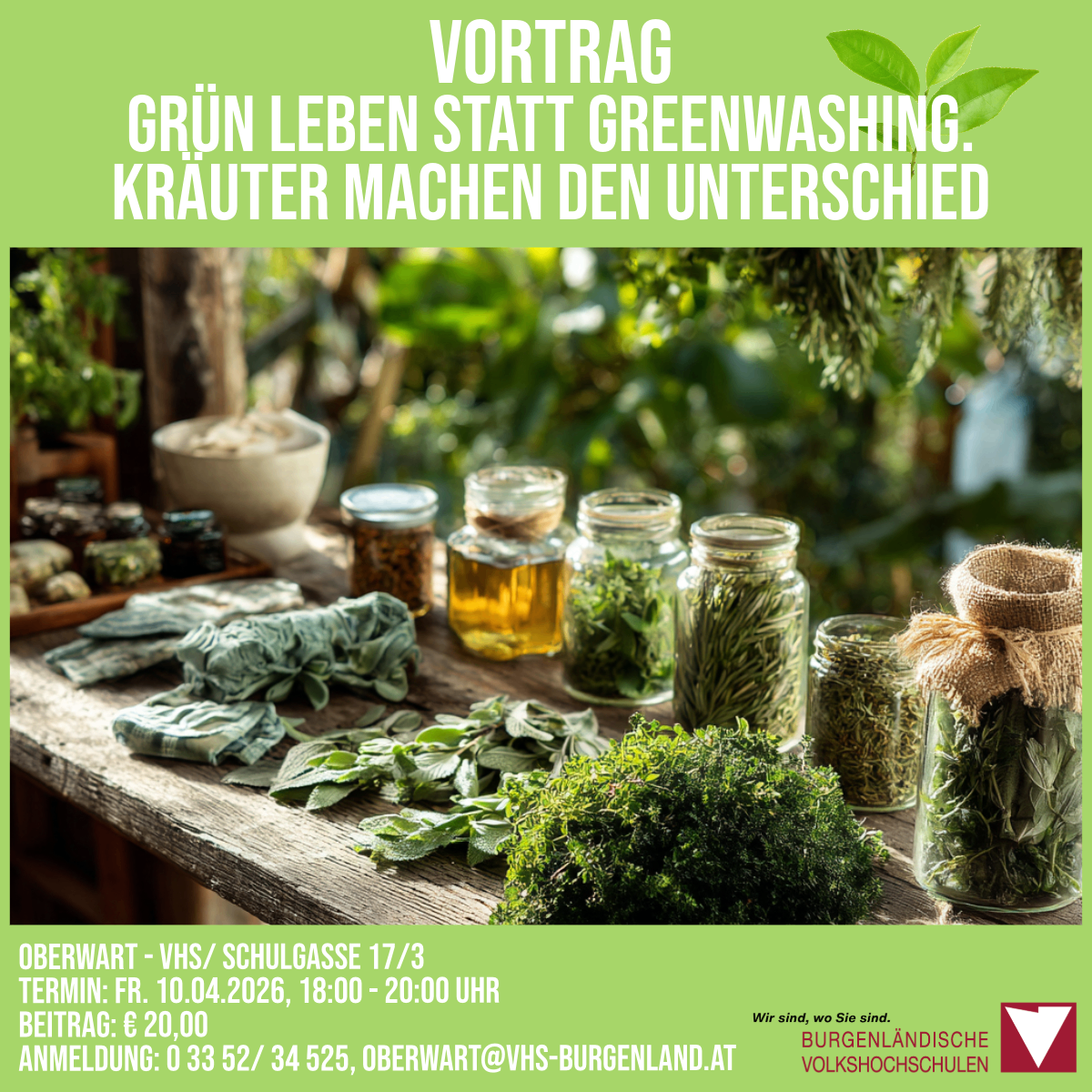 Ein Plakat bewirbt einen Vortrag über grünes Leben und Kräuterheilkunde. Der Titel lautet 'Grünes Leben statt Greenwashing.' Das Plakat zeigt Gläser mit Kräutern und Pflanzen. Es enthält Angaben zu Datum, Uhrzeit und Kosten.