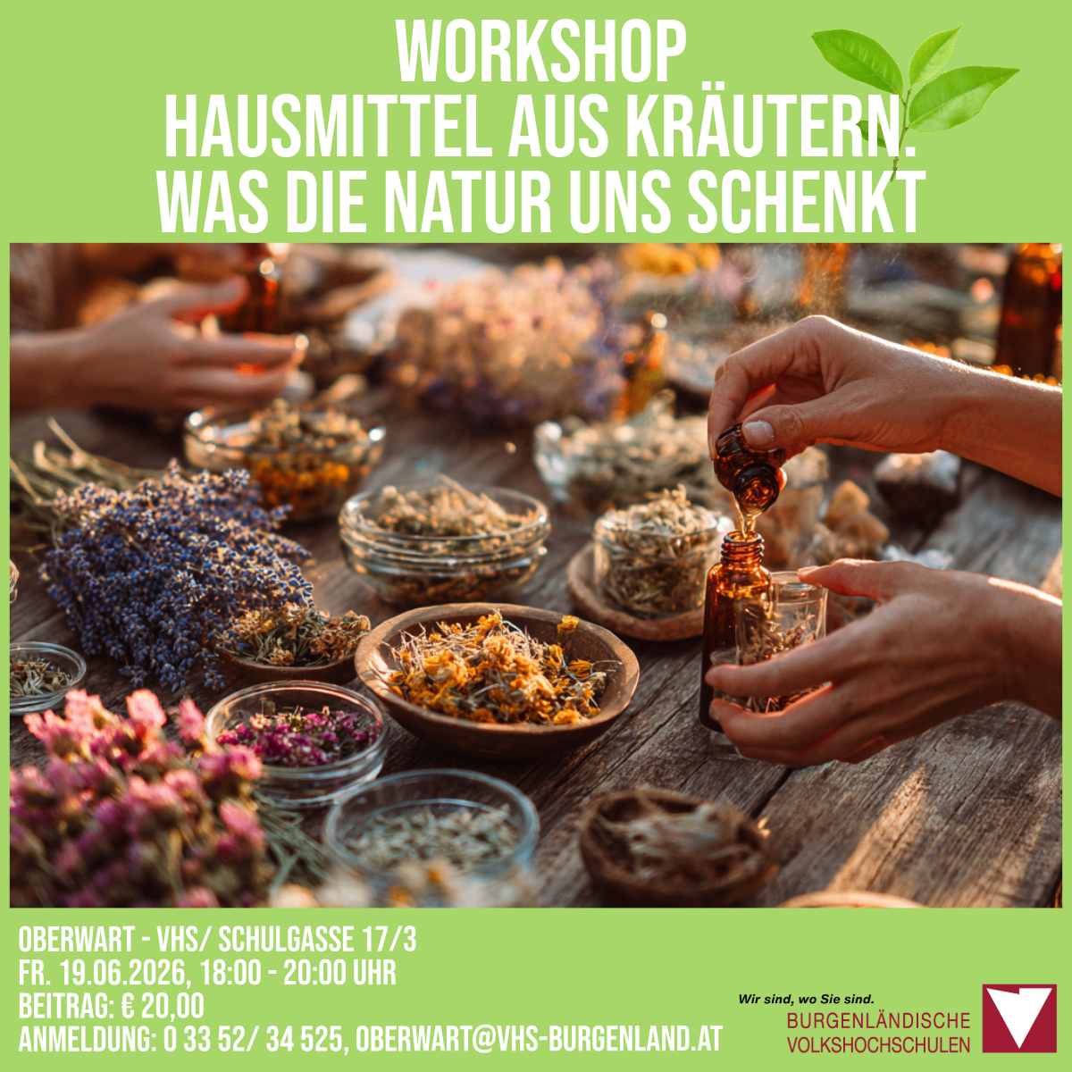 Workshop über Hausmittel aus Kräutern. Was die Natur uns schenkt. Oberwart, 19.06.2026, 18:00 - 20:00 Uhr. Beitrag: 20 Euro.