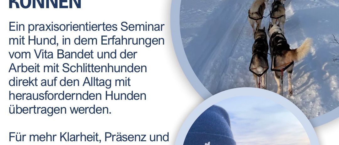 Ein praxisorientiertes Seminar mit Hunden, in dem Erfahrungen vom Vita Bandet und der Arbeit mit Schlittenhunden direkt auf den Alltag mit herausfordernden Hunden übertragen werden. Für mehr Klarheit, Präsenz und tragfähige Zusammenarbeit. Wo: Sandriegel 7-8, 8385 Neuhaus am Klausenbach, maximal 10 Teilnehmer.