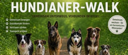 Werbeplakat für Hundianer College mit mehreren Hunden, die gemeinsam auf einem Waldpfad laufen. Der Text lautet 'Hundiianer-WAL' und 'Gemeinsam unterwegs. Verbünden im Rudel.' Mit Symbolen für Bewegung, Sozialkontakt, Vertrauen und Teamgeist.