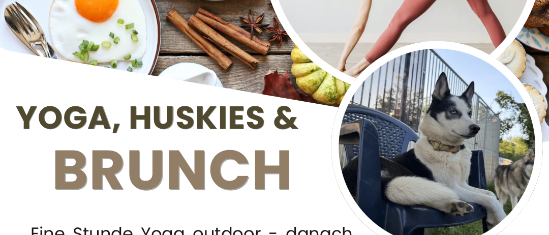 Ein Plakat für eine Outdoor-Yoga-Sitzung mit Huskies und Brunch. Es zeigt eine Frau, die Yoga macht, einen Hund auf einem Stuhl und einen Tisch mit Essen. Der Text lautet 'Yoga, Huskies & Brunch'. Das Datum und die Uhrzeit sind 18.07.2026 um 08:30.