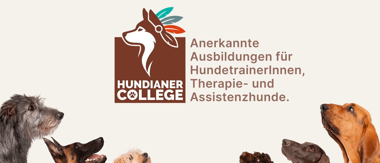 Ein Poster zeigt das Logo der Hundianer College mit einem Hund und Federn. Darunter steht 'Anerkannte Ausbildungen für Hundetrainer Therapie- und Assistenzhunde.' Sechs Hunde sind in einer Reihe aufgestellt und schauen nach vorne.