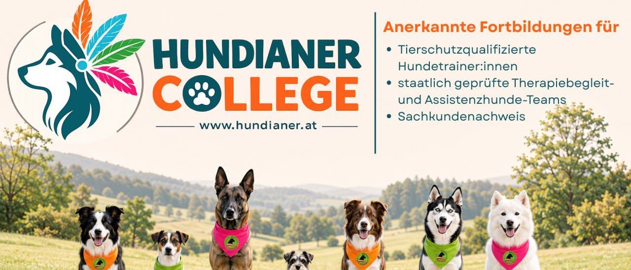 Ein Plakat für Hundianer College zeigt sechs Hunde in einer Reihe, die grüne Halsbänder tragen, mit einer ländlichen Kulisse und Text auf Deutsch.