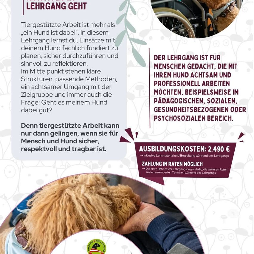 Ein Infografik über einen Hundetrainingskurs, mit einem Hund im Rollstuhl und Text über die Vorteile des Kurses für Mensch und Hund.