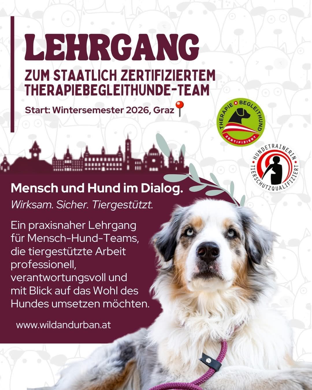 Ein Plakat, das einen praktischen Lehrgang für Mensch-Hund-Teams bewirbt, mit einem Hund, einer Stadtlandschaft und Zertifizierungen. Der Text ist auf Deutsch.