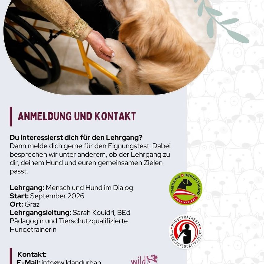 Ein Bild einer Person im Rollstuhl, die einen Hund streichelt, mit Textüberlagerung, die Informationen über einen Trainingskurs für Menschen und Hunde bereitstellt. Der Text enthält Details zum Kursstartdatum, Ort und Kursleiter. Es gibt auch Logos für Zertifizierung und Kontaktinformationen.