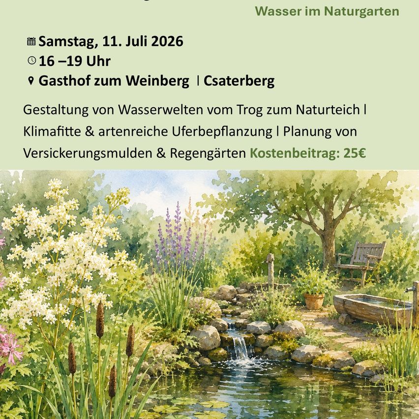 Poster für Wasser im Naturgarten-Event am 11. Juli 2026 von 16-19 Uhr im Gasthof zum Weinberg, Csaterberg. Gestaltung von Wasserlandschaften, klimafreundliche Bepflanzung und Planung von Versicherungsmulden und Regengärten. Kosten: 25 Euro. Illustration eines Gartens mit Teich, Pflanzen und einer Holzbank.