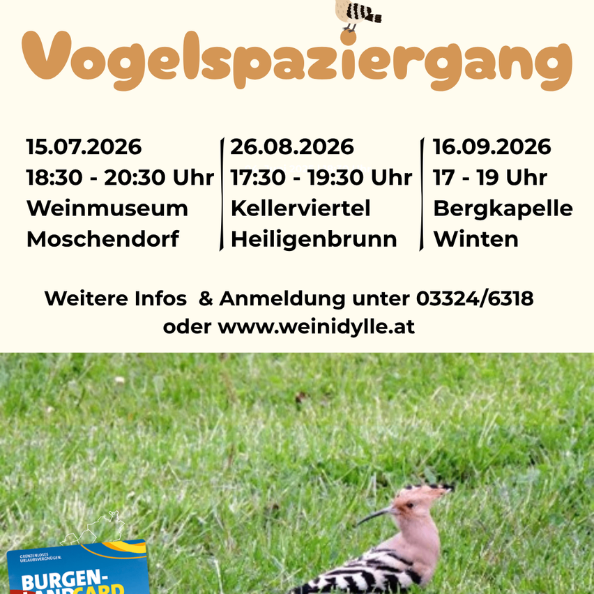 Werbeplakat für Vogelspaziergang-Veranstaltungen am 15.07.2026, 26.08.2026, 16.09.2026. Zeiten und Orte sind angegeben. Kontakt 03324/6318 oder www.weinidylle.at für weitere Informationen.