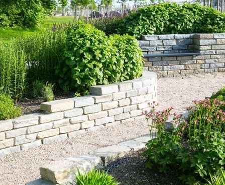 Image contains, Backyard, Nature, Outdoors, Yard, Garden, Herbal, Herbs, Vegetation, Grass, Path