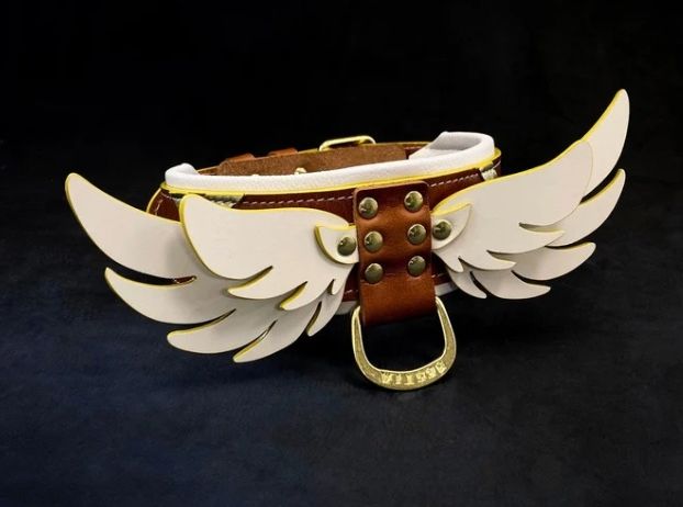 Ein braunes Lederhalsband für Hunde mit weißen Flügeln, goldenen Akzenten und einem Verschluss. Das Halsband hat vergoldete Nieten und wird vor einem schwarzen Hintergrund präsentiert.