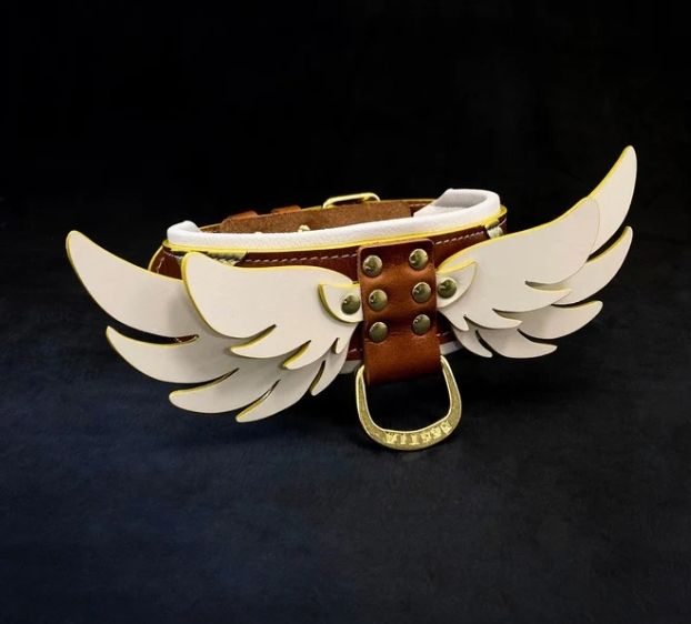 Ein braunes Lederhalsband für Hunde mit weißen Flügeln, goldenen Akzenten und einem Verschluss. Das Halsband hat vergoldete Nieten und wird vor einem schwarzen Hintergrund präsentiert.