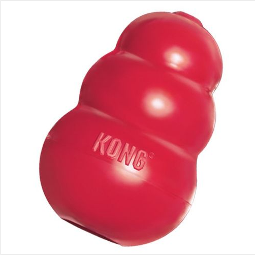 Ein roter, runder, glänzender Spielzeug mit dem Wort 'KONG' darauf, wahrscheinlich ein Hundespielzeug.