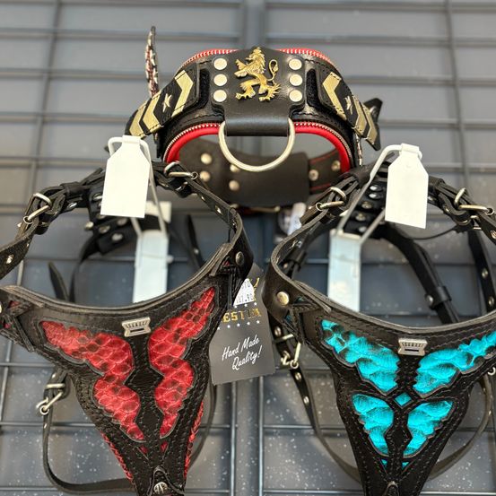 Zwei handgefertigte Lederhundehalsbänder mit dekorativen Designs werden auf einem Metallgitter ausgestellt. Eines zeigt Rot und Schwarz mit einem goldenen Löwenemblem, das andere Blau und Schwarz mit komplizierten Mustern.