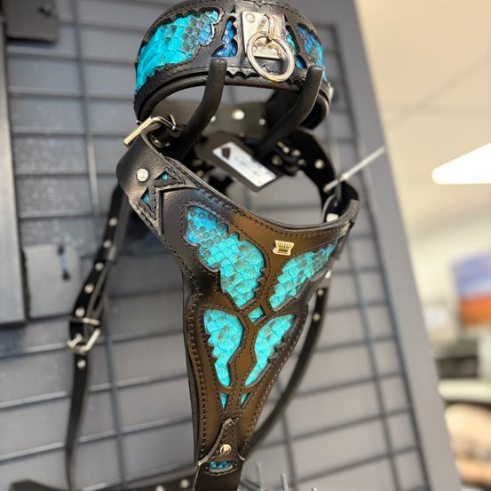 Ein schwarzer und türkisfarbener Lederhundhalsband mit silberner Ringschnalle hängt an einer Metallwand. Das Halsband hat ein einzigartiges Muster, das an Schuppen erinnert.